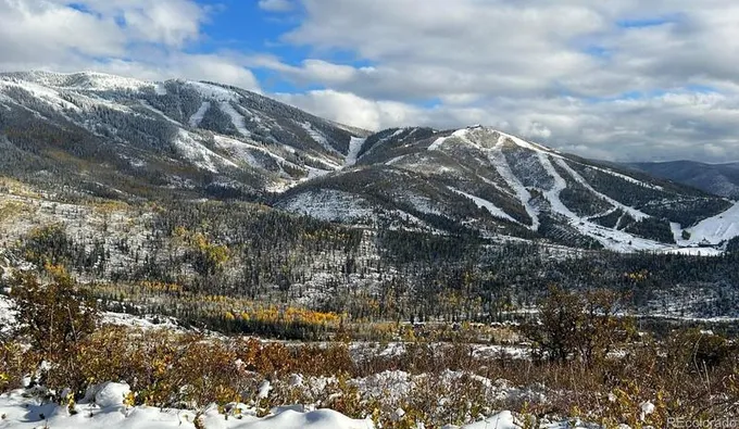 550 Huckleberry, Steamboat Springs, CO 80487 - MLS 9940924 for Sale