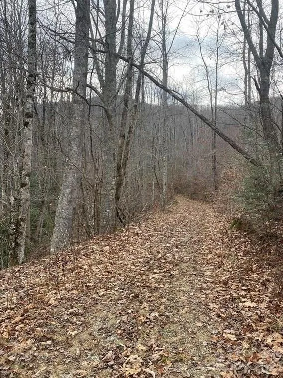 0 White Rock Rd, Cullowhee, NC 28723 - MLS 3937314 for Sale