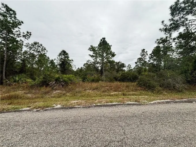 Lehigh Acres, Lee County, FL Undeveloped Land, Homesites for sale Property ID: 418287395