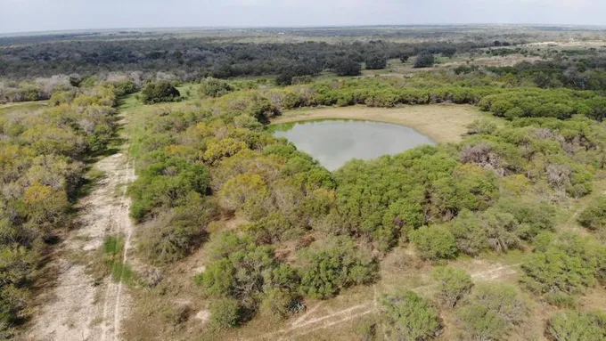 Mccoy, Atascosa County, TX Farms and Ranches, Hunting Property for sale Property ID: 415904726