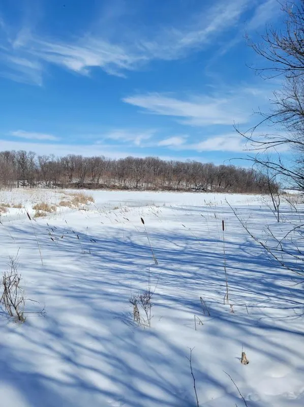 83Xx Big Chip Trail NW, Garfield, MN 56332 - MLS 6350963 for Sale