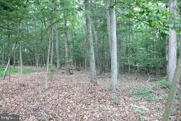 Wardensville, Hardy County, WV Undeveloped Land, Homesites for sale Property ID: 418587223