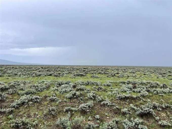 Tract 30 Steel Creek Road, Wisdom, MT 59761  617240252 for Sale