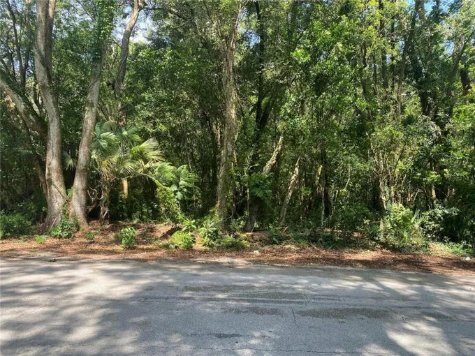 6088 TERRELL RD, MOUNT DORA, FL 32757 Land For Sale  MLS# O6131287