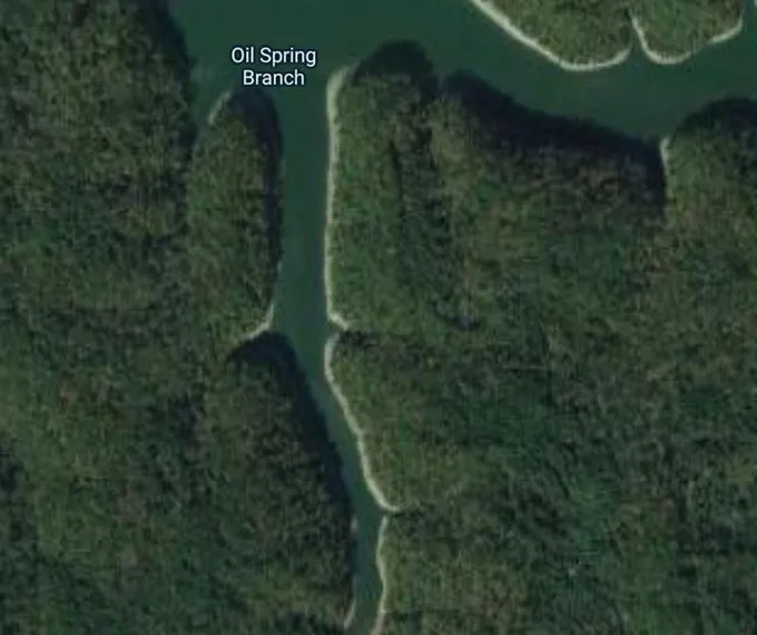 Monticello, Wayne County, KY Undeveloped Land for sale Property ID: 412458711