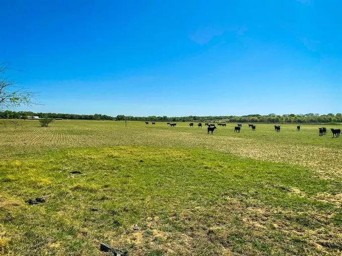 TBD CR 254, Cisco, TX 76437 for Sale