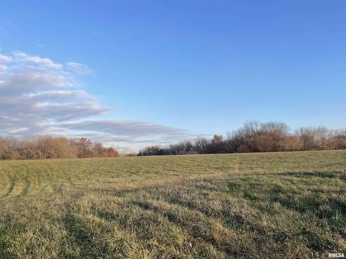 15215 42ND Street West, Milan, IL 61264  608480645 for Sale