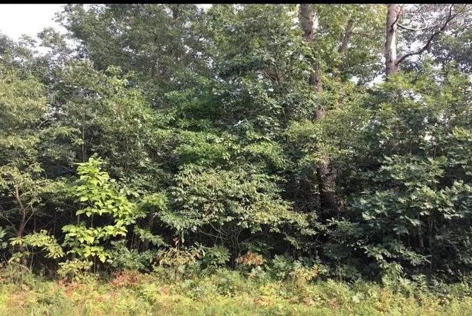 Wheatfield, Jasper County, IN Undeveloped Land, Homesites for sale Property ID: 336712573