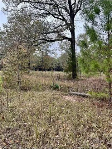 Deville, Rapides Parish, LA Undeveloped Land, Homesites for sale Property ID: 418323398