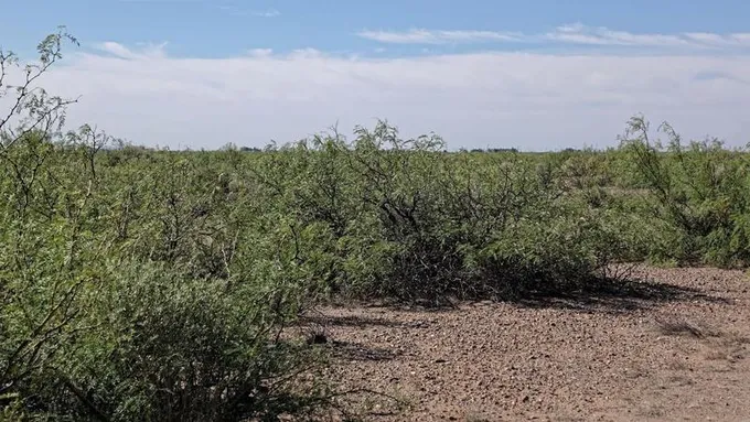 Deming, Luna County, NM Recreational Property, Undeveloped Land, Homesites for sale Property ID: 418356681