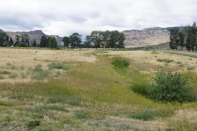 Cody, Park County, WY Undeveloped Land, Homesites for sale Property ID: 417471771