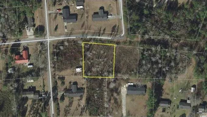 Lot 59 E Wisteria Dr, Hemingway, SC 29554 - MLS 2021297 for Sale