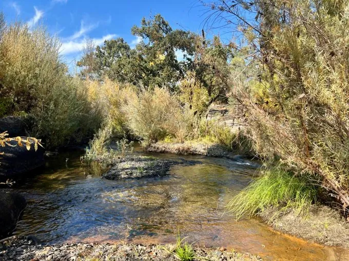 31638 ROAD 400, Coarsegold, CA 93614 Single Family Residence For Sale  MLS# 606858 for Rent