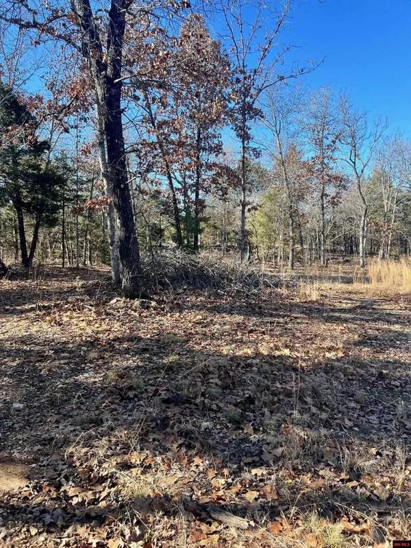 Clarkridge, Baxter County, AR Undeveloped Land for sale Property ID: 418665129