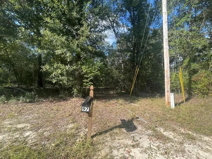 Perkinston, Pearl River County, MS Undeveloped Land for sale Property ID: 417536568