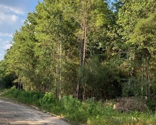 0 Barents Dr, Humble, TX 77346 for Sale