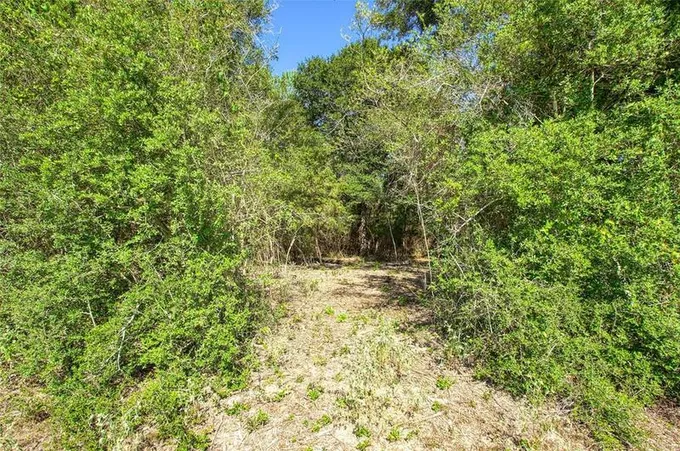 00 County Rd 151, Bedias, TX 77831 for Sale