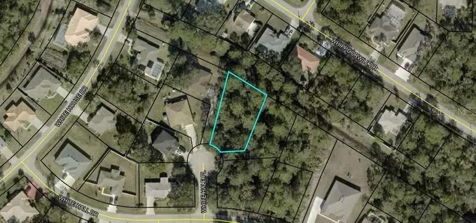 Palm Coast, Flagler County, FL Undeveloped Land, Homesites for sale Property ID: 418531340