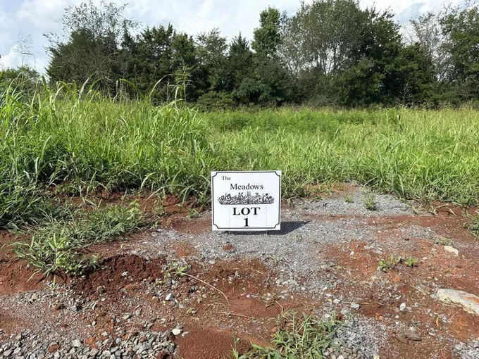 Riceville, Mc Minn County, TN Homesites for sale Property ID: 417010032