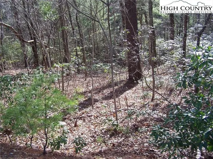 Deep Gap, Watauga County, NC Undeveloped Land, Homesites for sale Property ID: 418101182