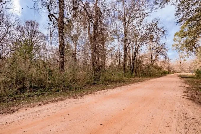 Lot 490-491 Lakeview Dr, CLEVELAND, TX 77327 for Sale