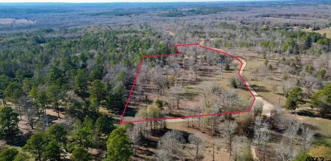 000 Cr 4913, Troup, TX 75789 - MLS 24000304 for Sale