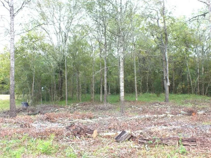 0 Patricia Lane County Road 377, Alvin, TX 77511 for Sale
