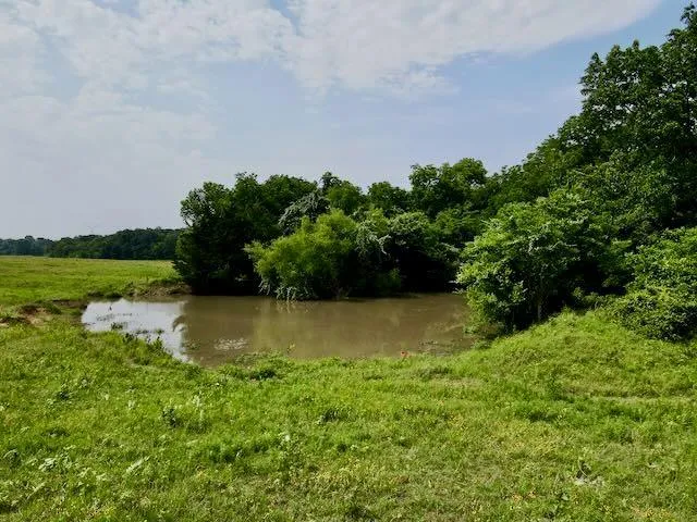 TBD 1 SW County Road 4030, Dawson, TX 76639 for Sale