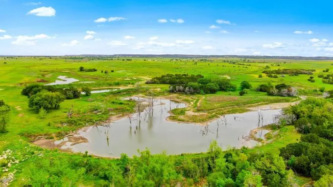 Hico, Erath County, TX Farms and Ranches, Undeveloped Land, Hunting Property for sale Property ID: 418528677
