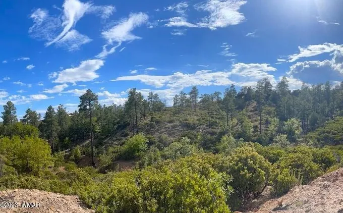 6303 Deer Run Rd, Show Low, AZ 85901 - MLS 248610 for Sale