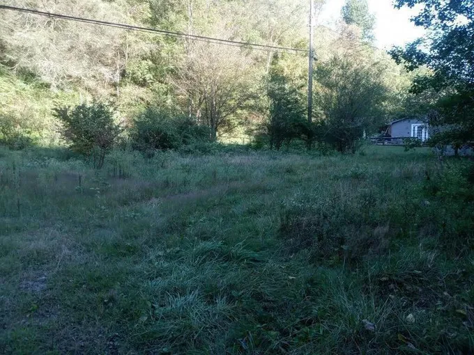 576 DOTY CRK, Jeremiah, KY 41826 Land For Sale  MLS# 23019381