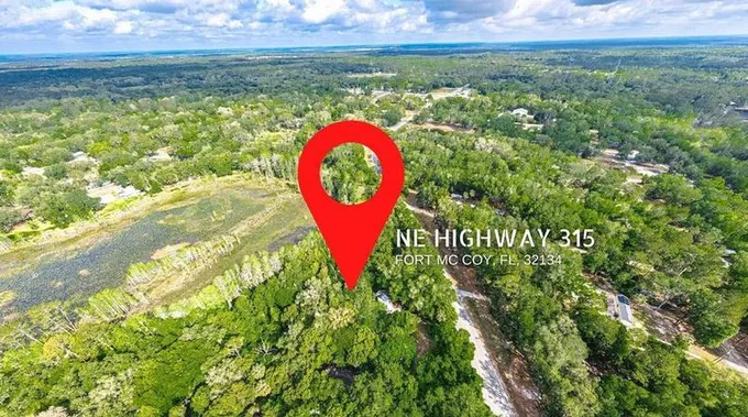 NE Hwy 315, Fort Mc Coy, FL 32134 - MLS W7856541 for Sale