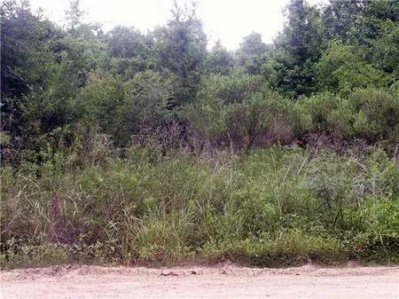 0000 County Road 2926, Cleveland, TX 77327 for Sale