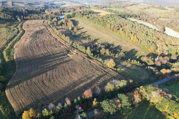 Owego, Tioga County, NY Farms and Ranches, Recreational Property for sale Property ID: 418030178