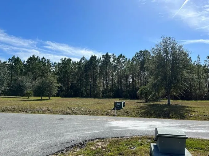 Steinhatchee, Dixie County, FL Undeveloped Land, Homesites for sale Property ID: 418184698