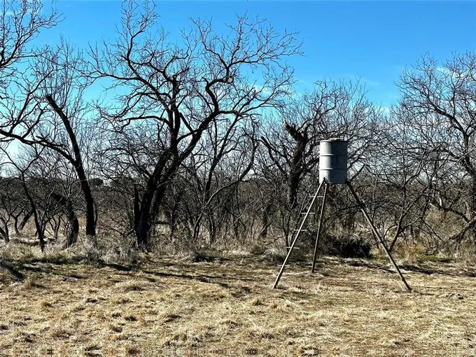 TBD Highway 279, Cross Plains, TX 76443 for Sale