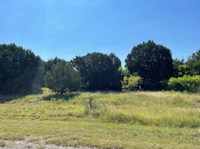 43137 Lantana Dr, Whitney, TX 76692 - MLS 20367251 for Sale