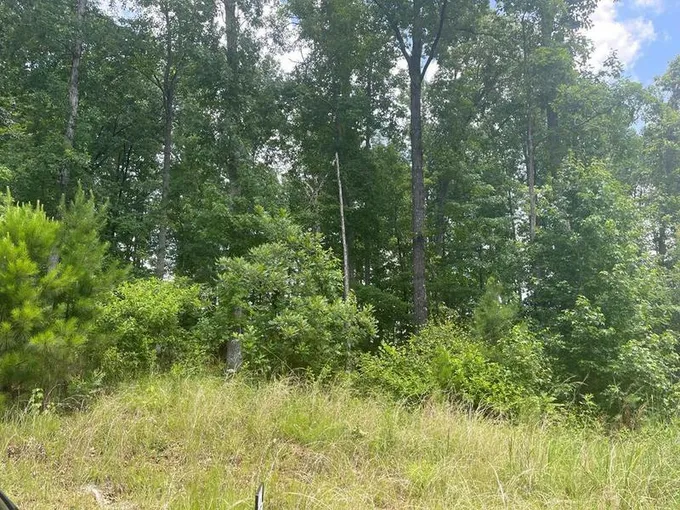 61 BOXWOOD CT, MIDLAND, GA 31820 Single Family Residence For Sale  MLS# 193388