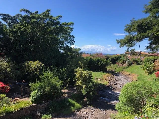 2670 Kanakanui Rd, Kihei, HI 96753  MLS# 400871 for Sale