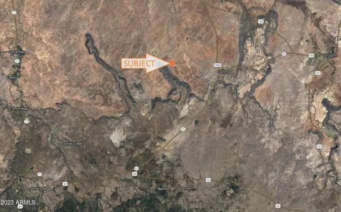 20 COUNTY ROAD N8445, Concho, AZ 85924 Land For Sale  MLS# 6578873 for Rent