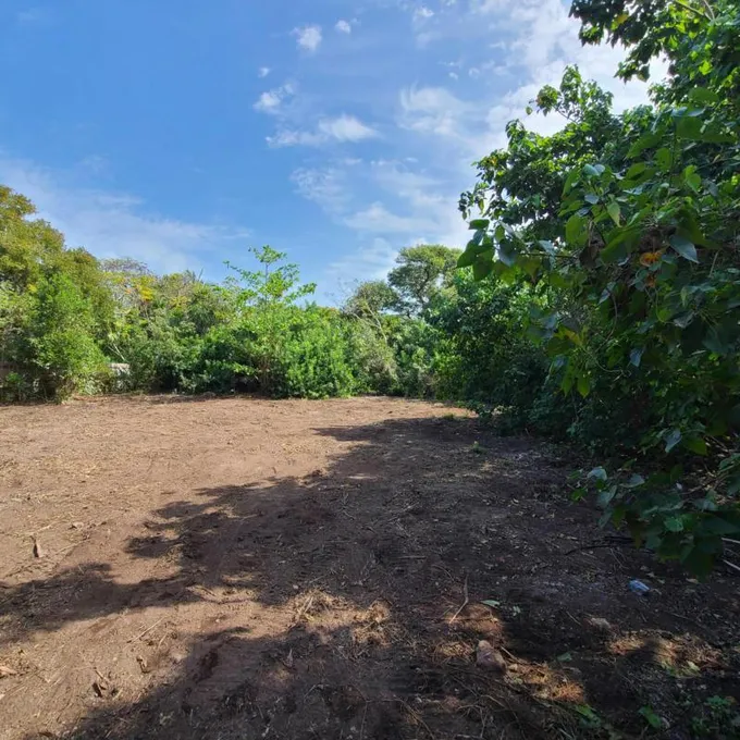 459 MARGATE DR, MARATHON, FL 33050 Land For Sale  MLS# 600188