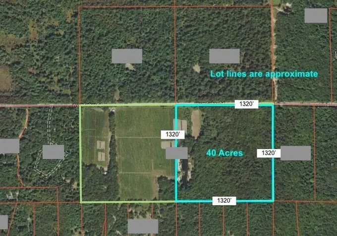 Ludington, Mason County, MI Undeveloped Land for sale Property ID: 416498649
