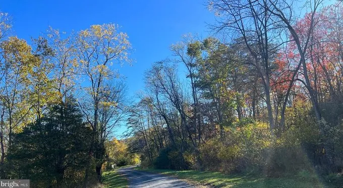 Lot 169 Quail Rd, Basye, VA 22810 - MLS VASH2007164 for Sale
