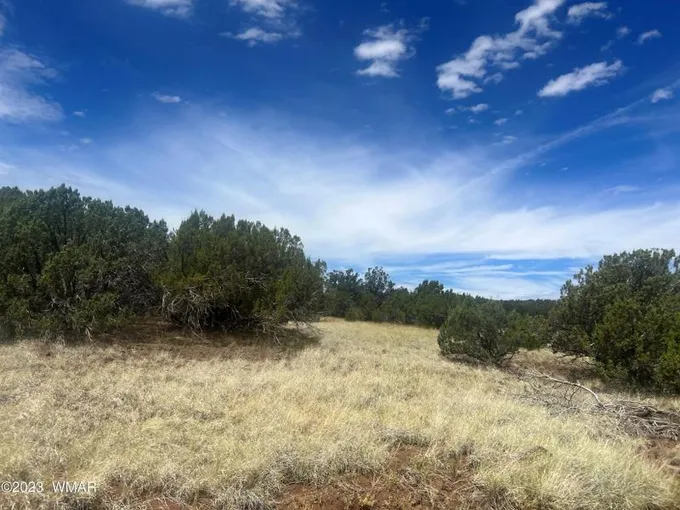 Concho, Apache County, AZ Homesites for sale Property ID: 417803012