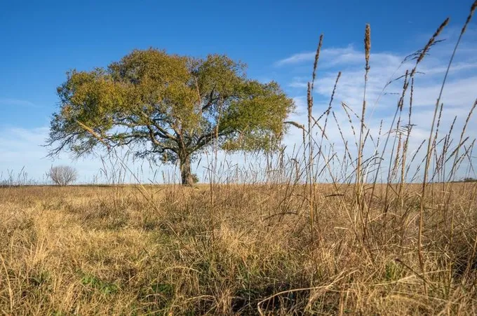 Tbd US 377 Hwy, Whitesboro, TX 76245 - MLS 20475485 for Sale