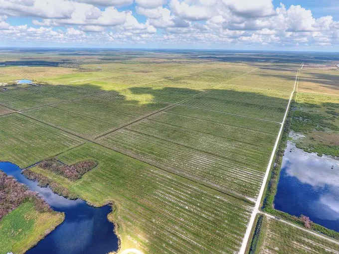 Punta Gorda, Charlotte County, FL Undeveloped Land for sale Property ID: 415271089