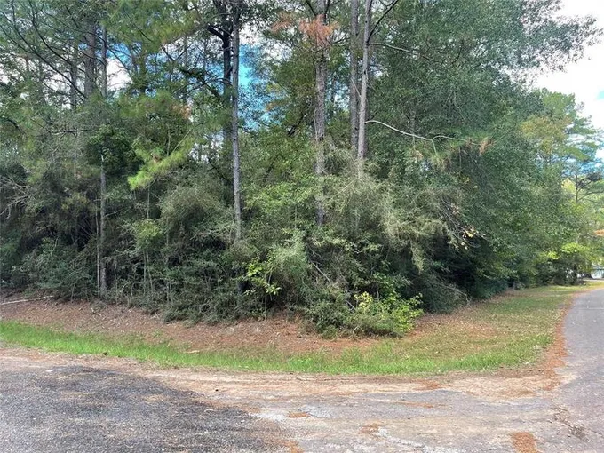 TBD White Poplar, Village Mills, TX 77663 for Sale