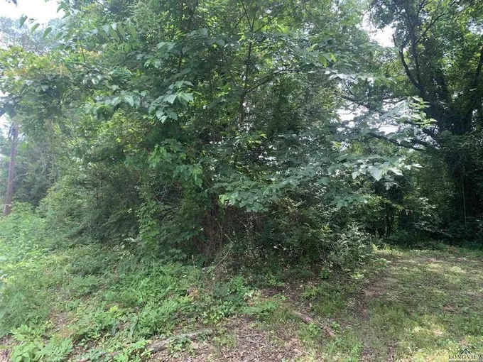 Warren Street, Gilmer, TX 75644 for Sale