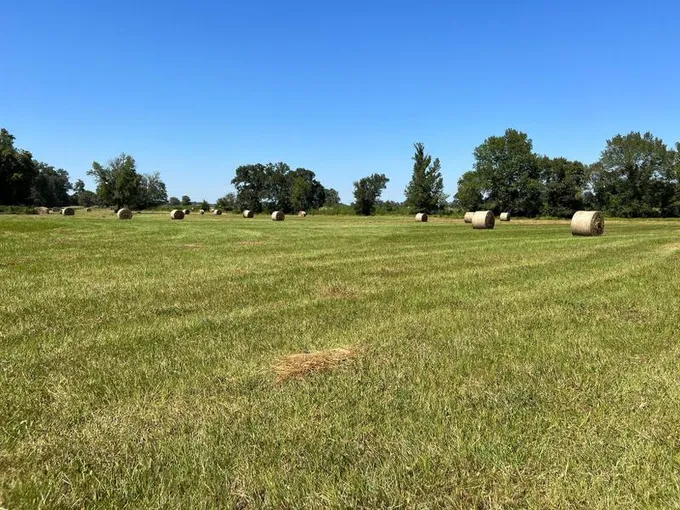 De Kalb, Bowie County, TX Farms and Ranches, Hunting Property for sale Property ID: 417498897