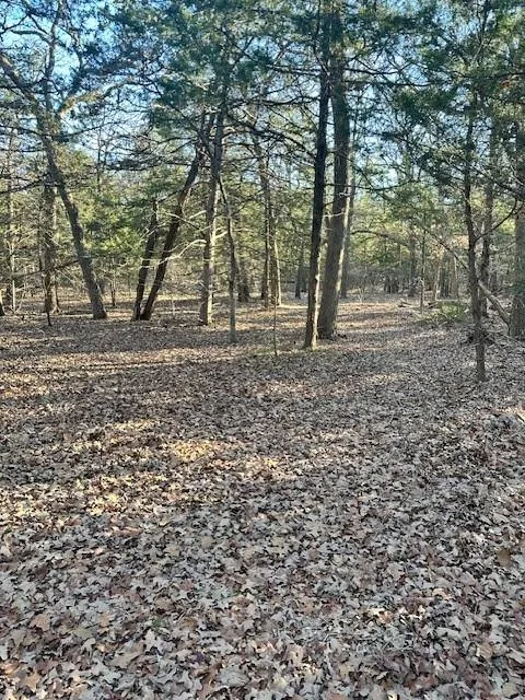 TBD Brandy Ln, Quinlan, TX 75474 for Sale